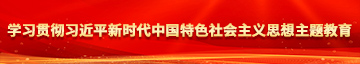 大鸡巴。插大逼视频学习贯彻习近平新时代中国特色社会主义思想主题教育